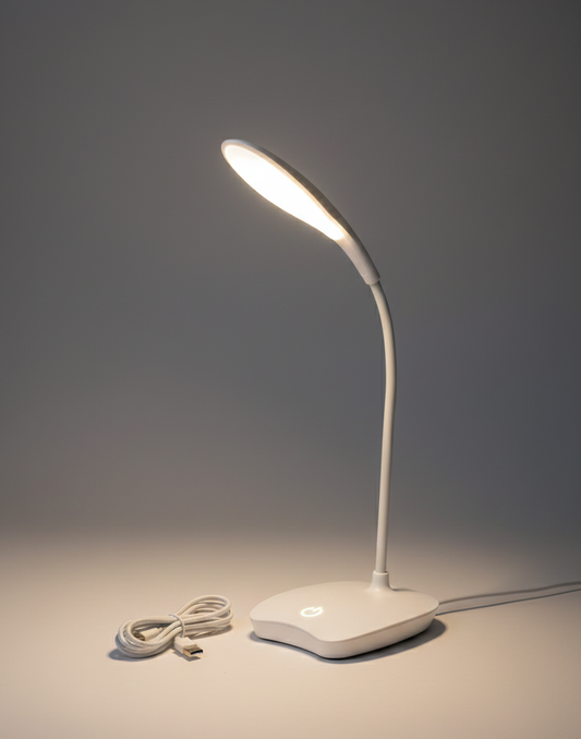 Portable Desk Lamp