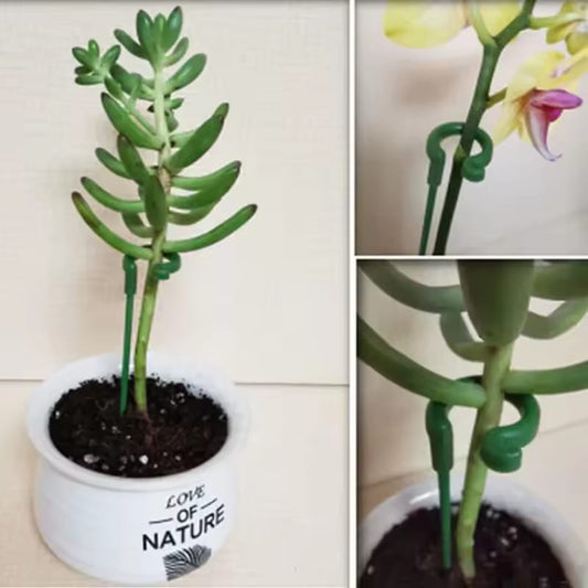10PCS Plant Support Stakes