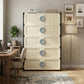 5-Layer Shoes Cabinet