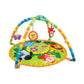 Baby Play Mat