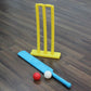 Cricket Play Set