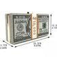 Dollar Clutch