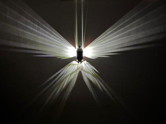 Eagle Wall Lamp