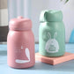 Glass Thermos Water Bottle