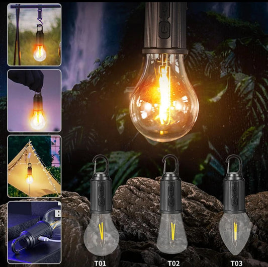Hanging Bulb