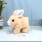 Jumping Baby Rabbit