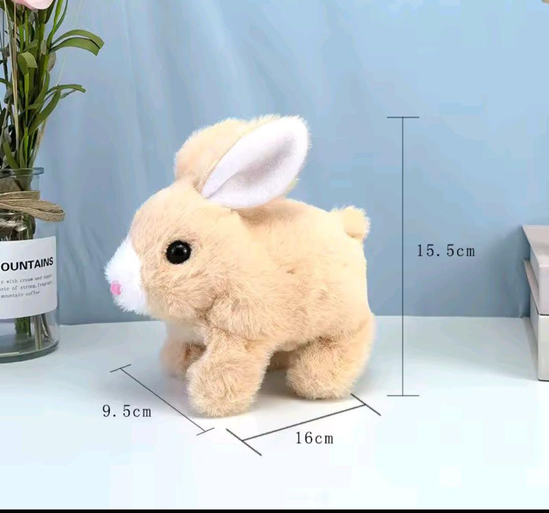 Jumping Baby Rabbit