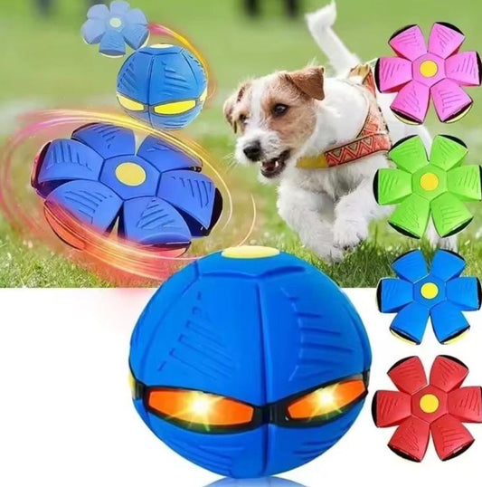 Magic Flying Disk Ball