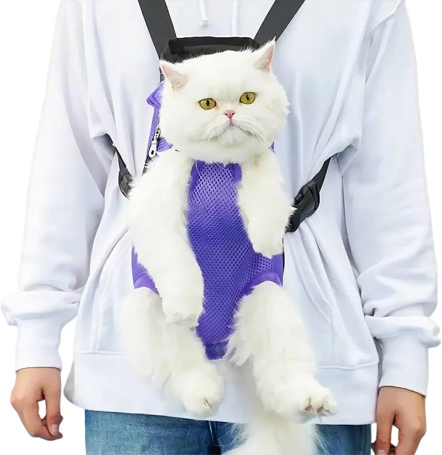 Pet Carrier Backpack