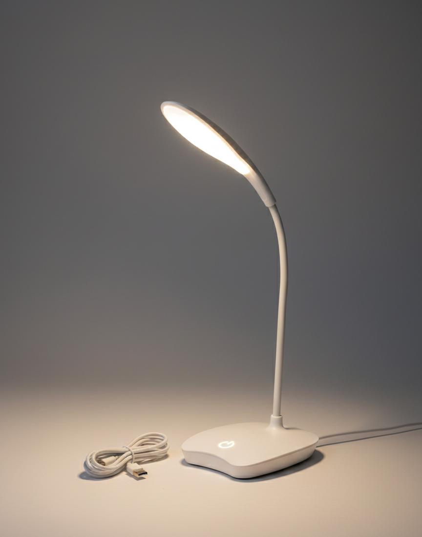 Portable Desk Lamp