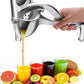 Fruit Press Manual Jucer