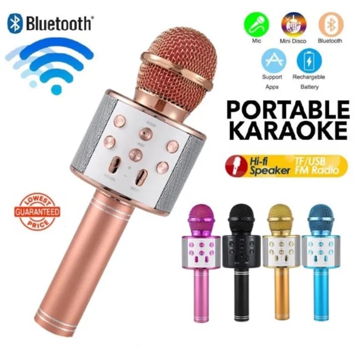 Wireless Microphone HiFi Speaker