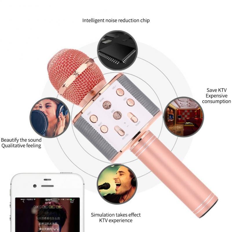 Wireless Microphone HiFi Speaker