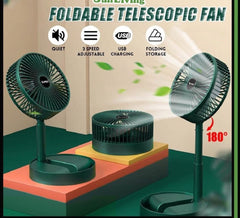 Folding Fan