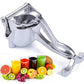 Fruit Press Manual Jucer