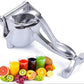 Fruit Press Manual Jucer