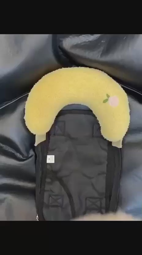 Pet Carrier Backpack