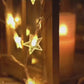 Pack of 2 Decoration Product