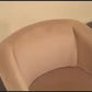 Sofa Cleaning Spray