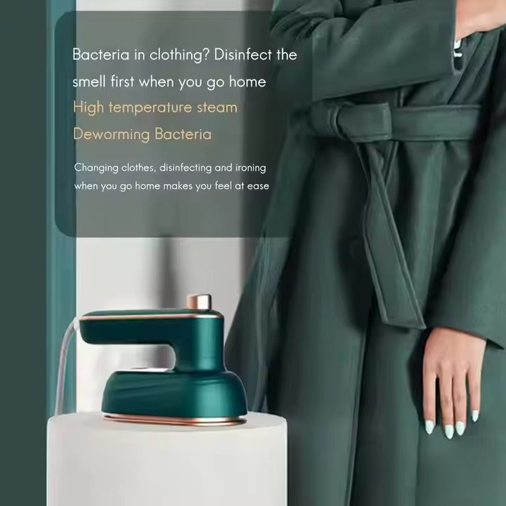 Steam Iron