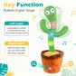 Cactus Toy
