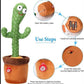 Cactus Toy
