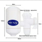 SWS Water Purifier Ceramics Direct Faucet